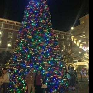 Meet your Posher, Carmen